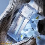 dior-home-cologne-3